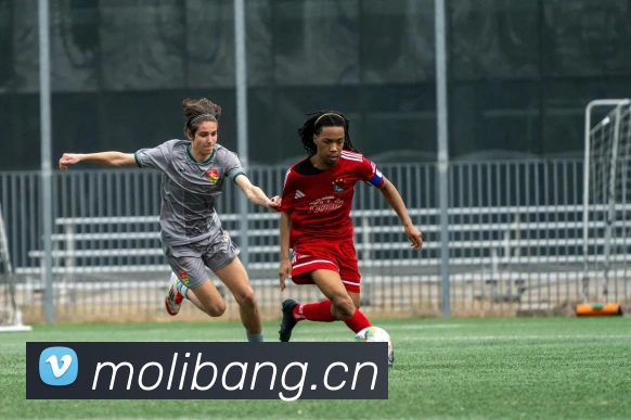 开云官网服务体系