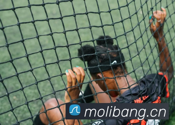 多媒体互动体验