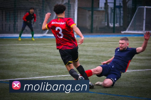 开云官网APP 体育赛事宣传图